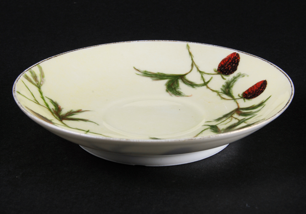 Antique Haviland & Co. Cup and Saucer