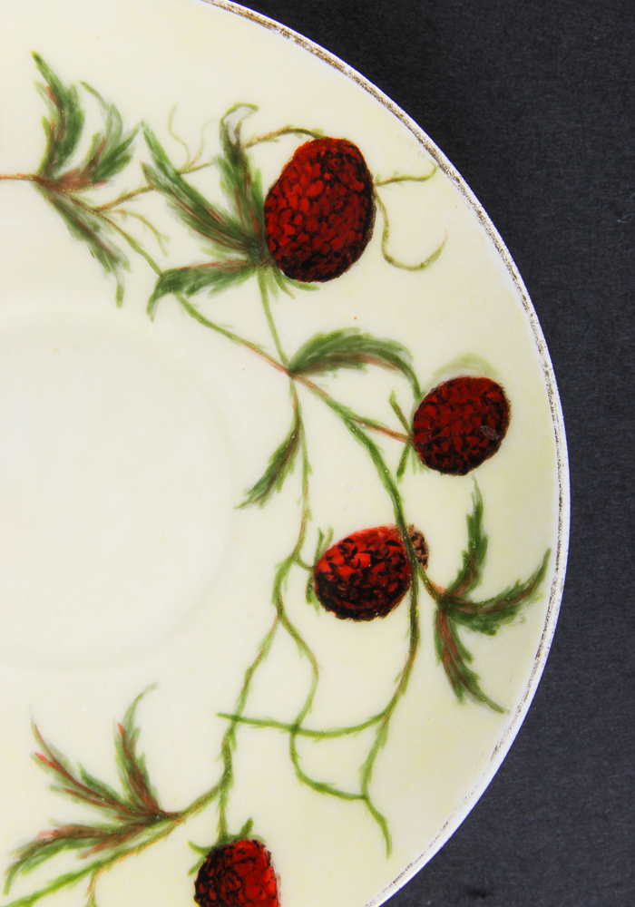 Antique Haviland & Co. Cup and Saucer