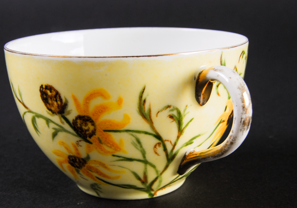 Antique Haviland & Co. Cup and Saucer