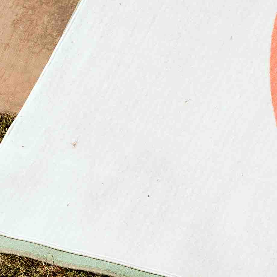 Large Looney Tunes Rug