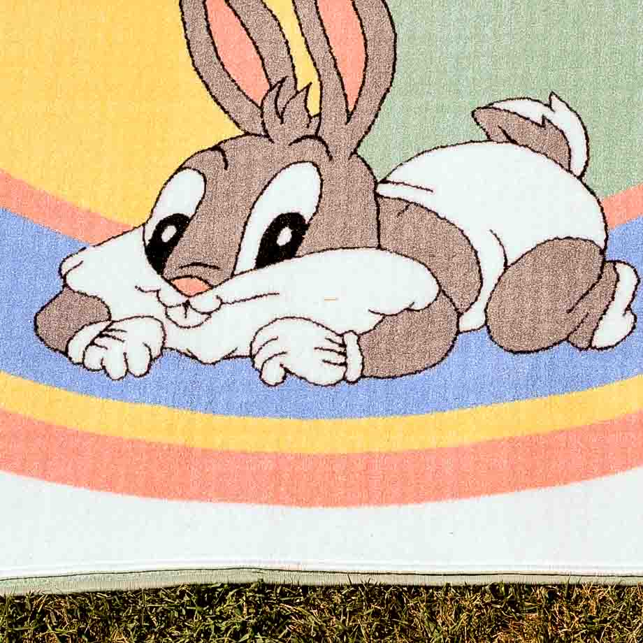 Large Looney Tunes Rug