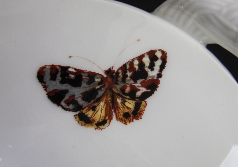 Haviland "Meadow Visitors" Limoges China