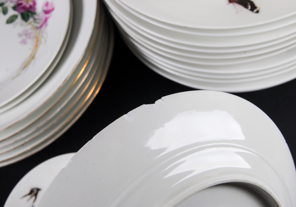 Haviland "Meadow Visitors" Limoges China