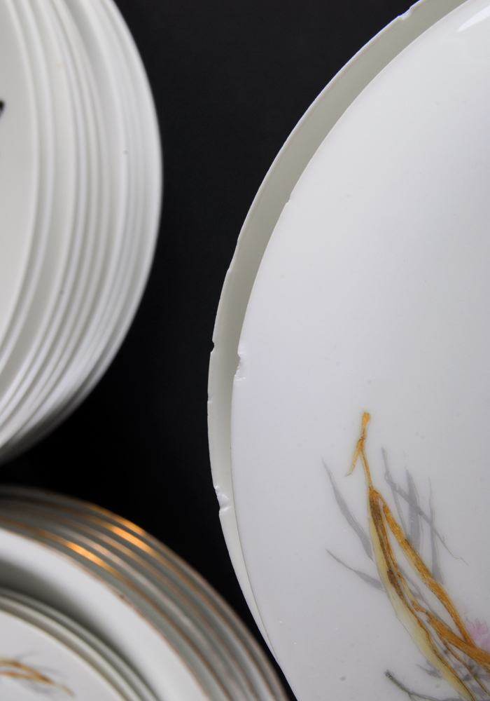 Haviland "Meadow Visitors" Limoges China