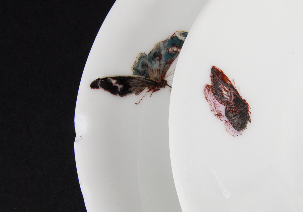 Haviland "Meadow Visitors" Limoges China