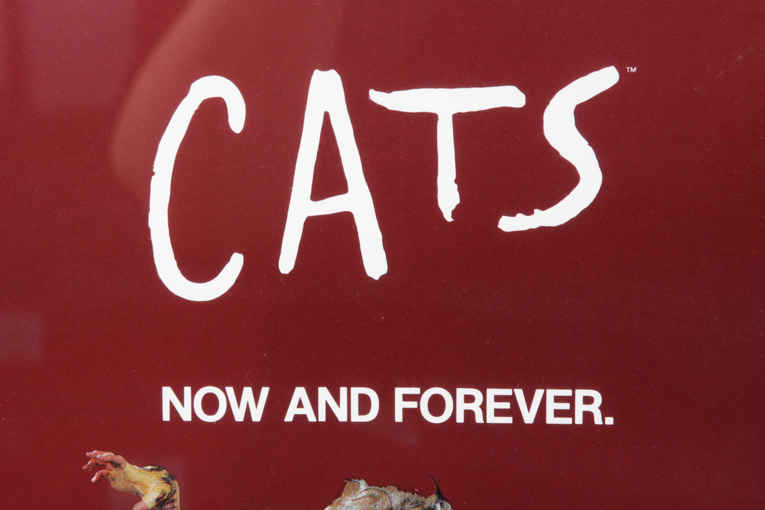 Framed Cats Broadway Poster