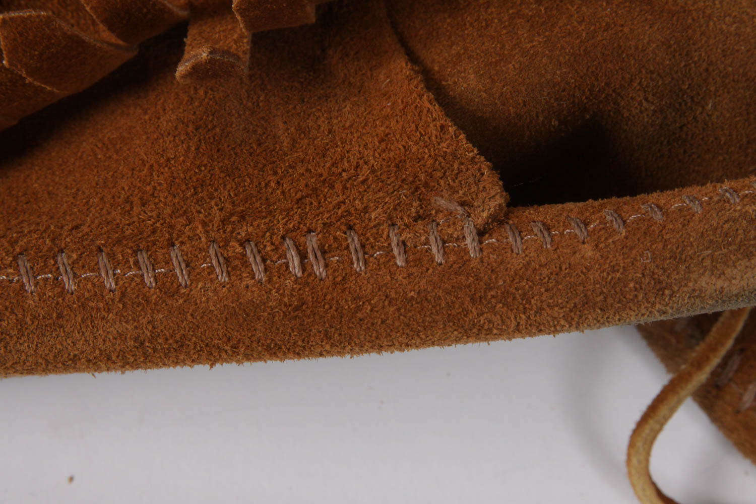 Native American and Bear Costumes