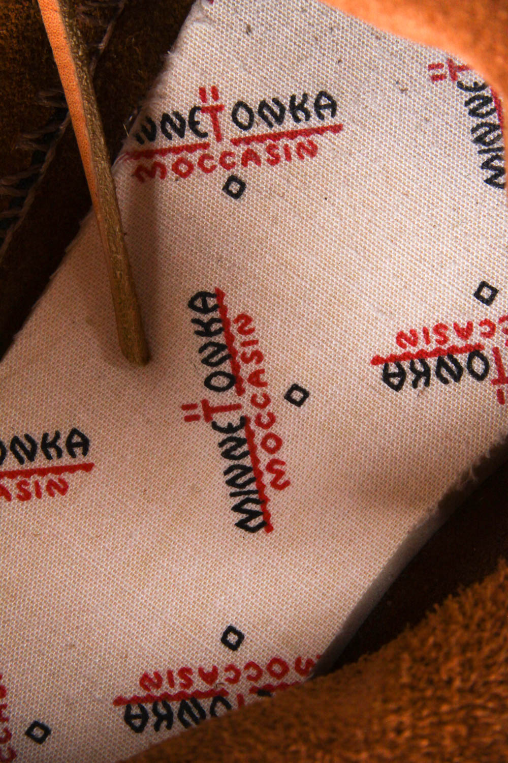 Native American and Bear Costumes