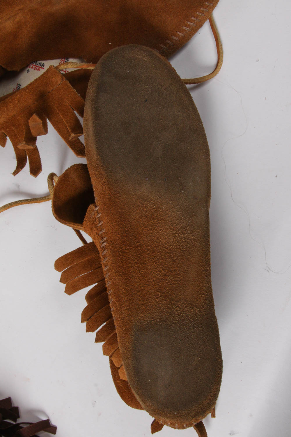 Native American and Bear Costumes