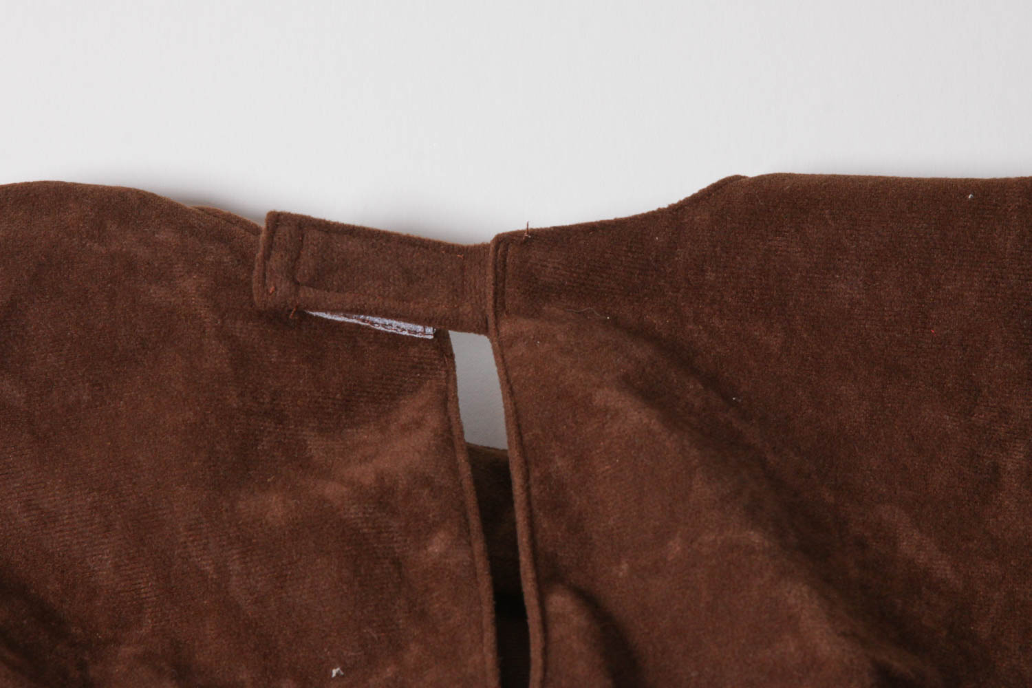 Native American and Bear Costumes