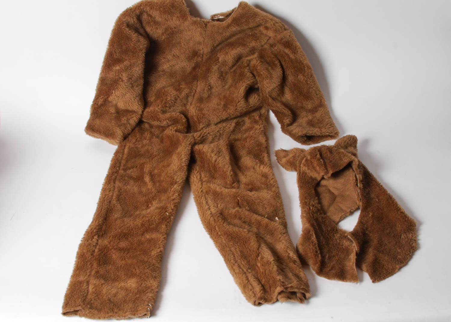 Native American and Bear Costumes