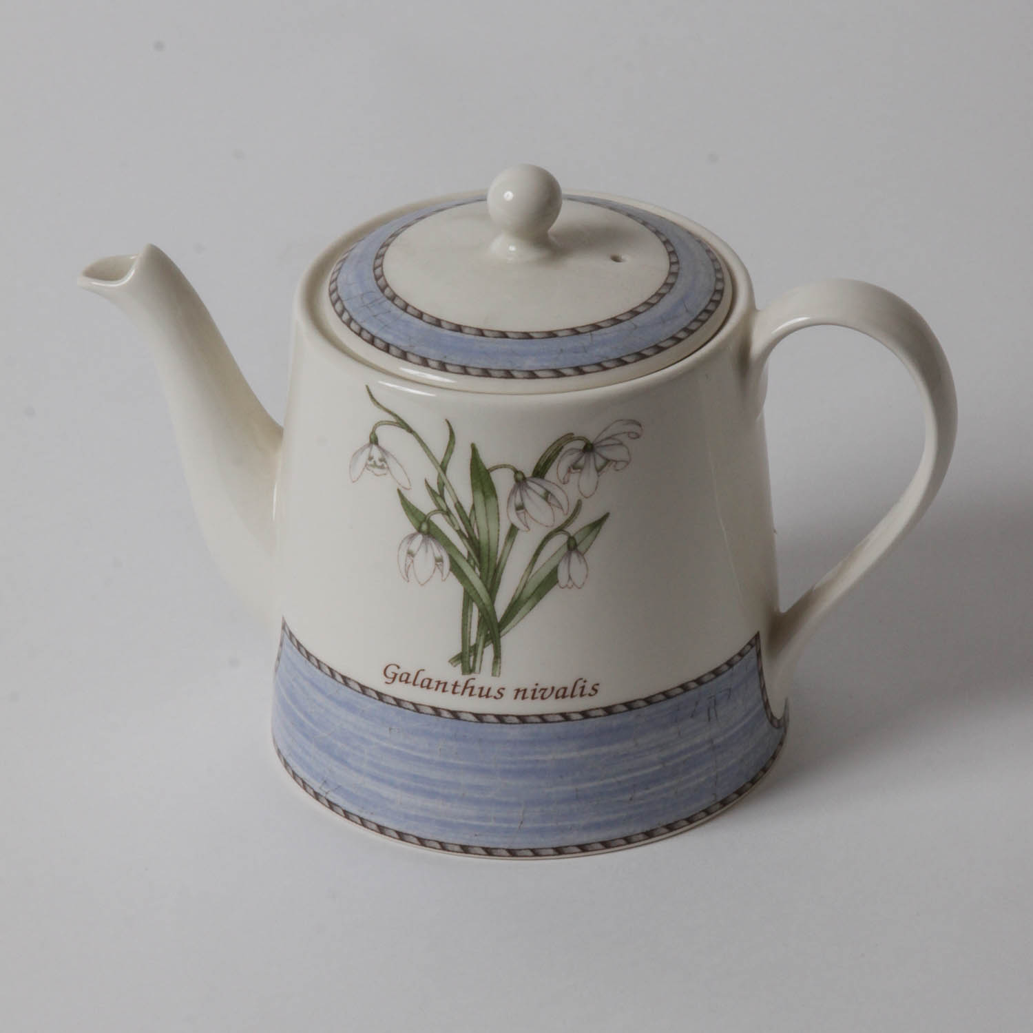 Wedgwood "Sarah's Garden" Teapot