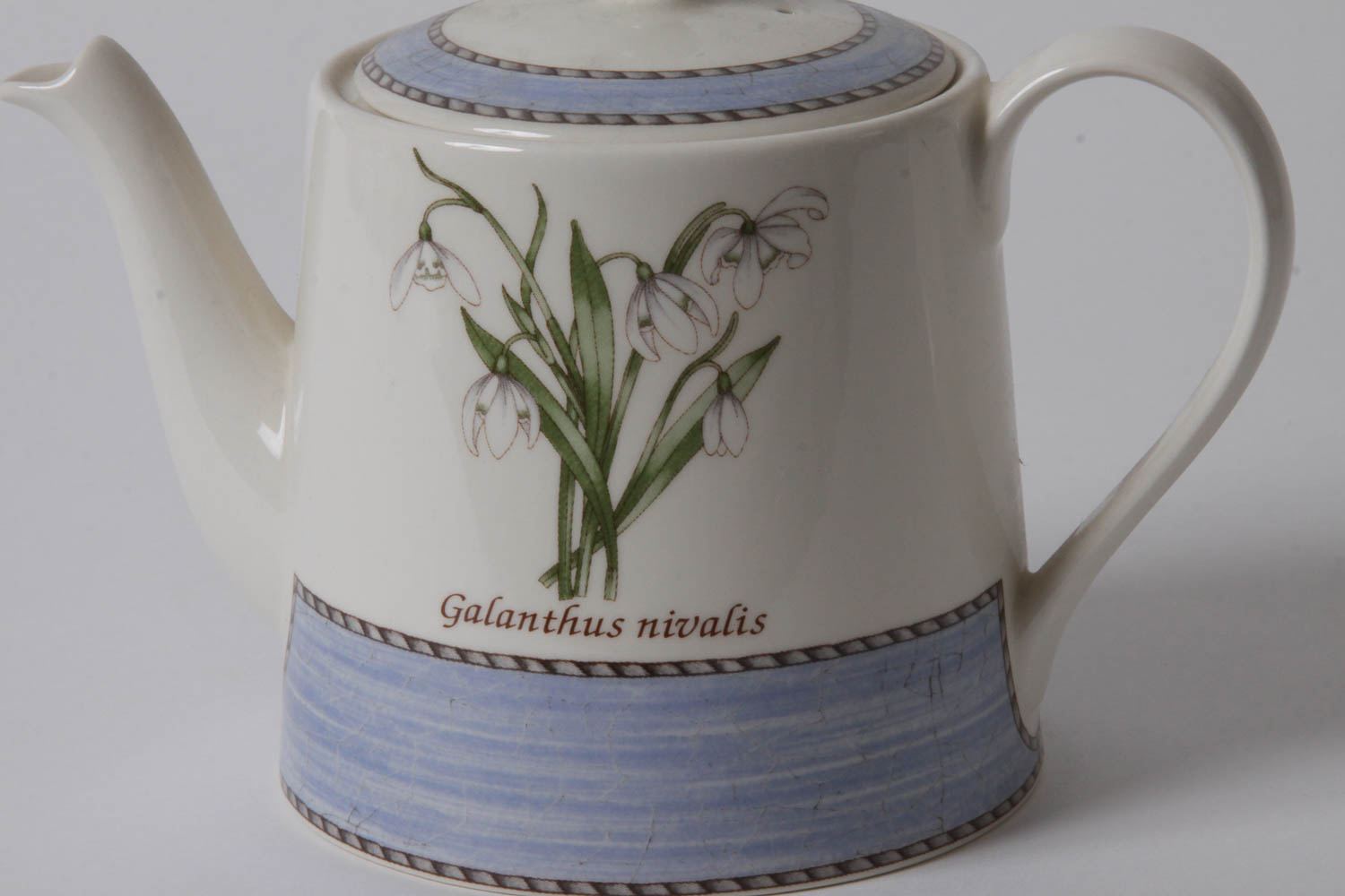 Wedgwood "Sarah's Garden" Teapot