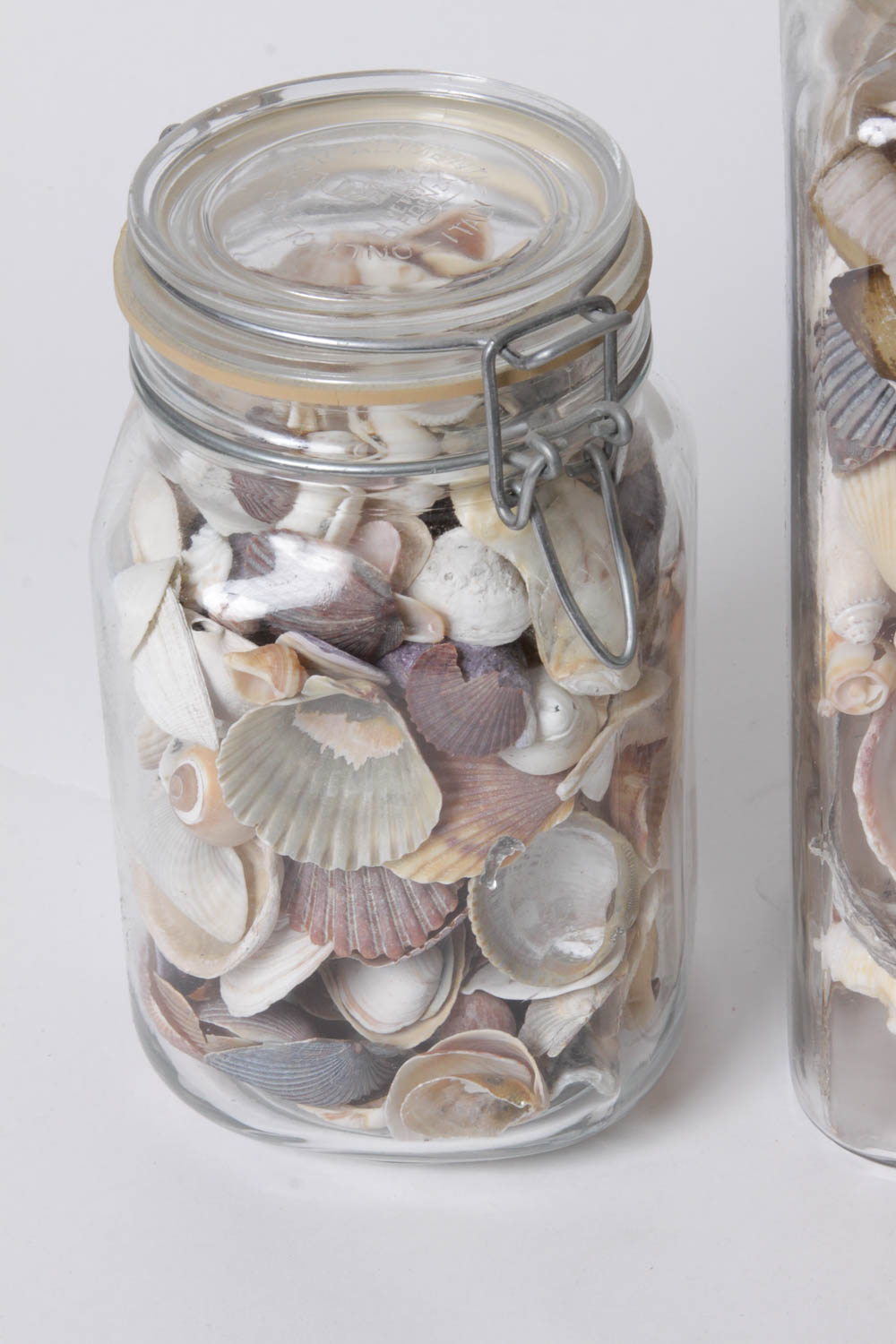 Shell Collection