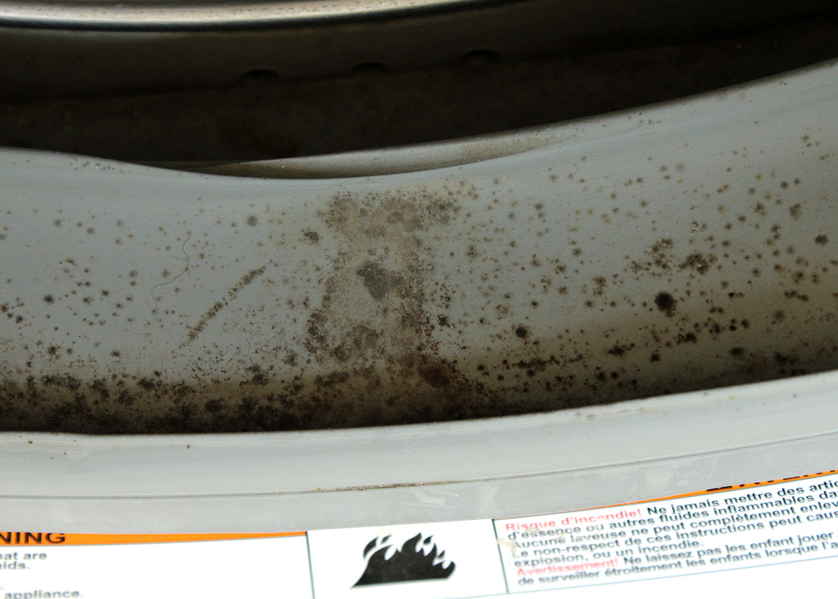 Bosch Nexxt Essence Washing Machine