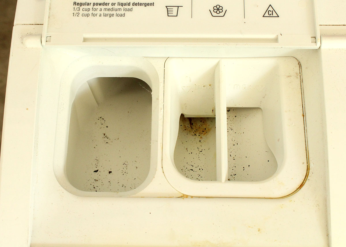 Bosch Nexxt Essence Washing Machine