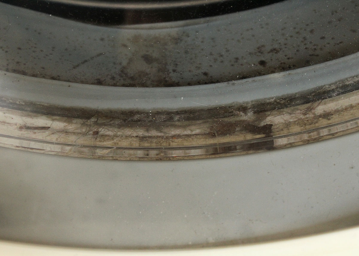 Bosch Nexxt Essence Washing Machine