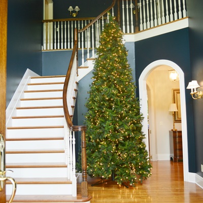 Large Illuminated 12' Yuletide Pine Artificial Christmas Tree