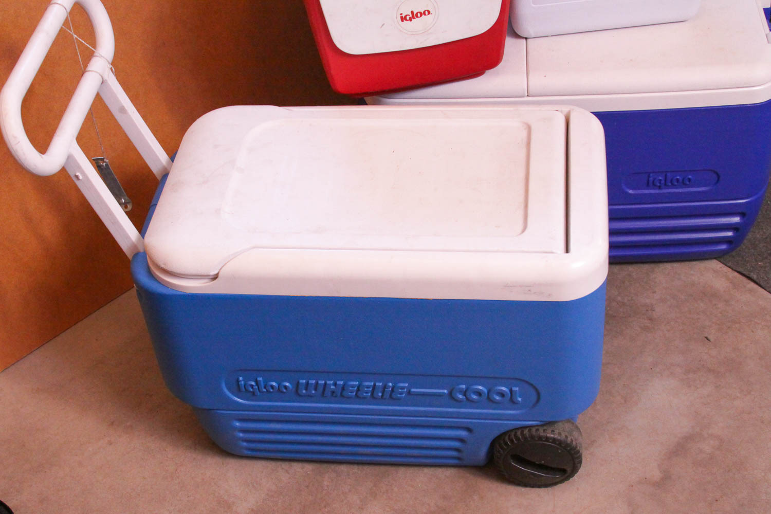 Variety of Picnic and Camping Coolers