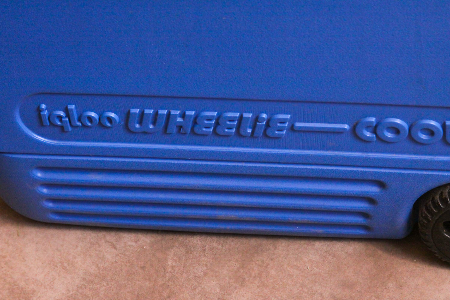 Variety of Picnic and Camping Coolers