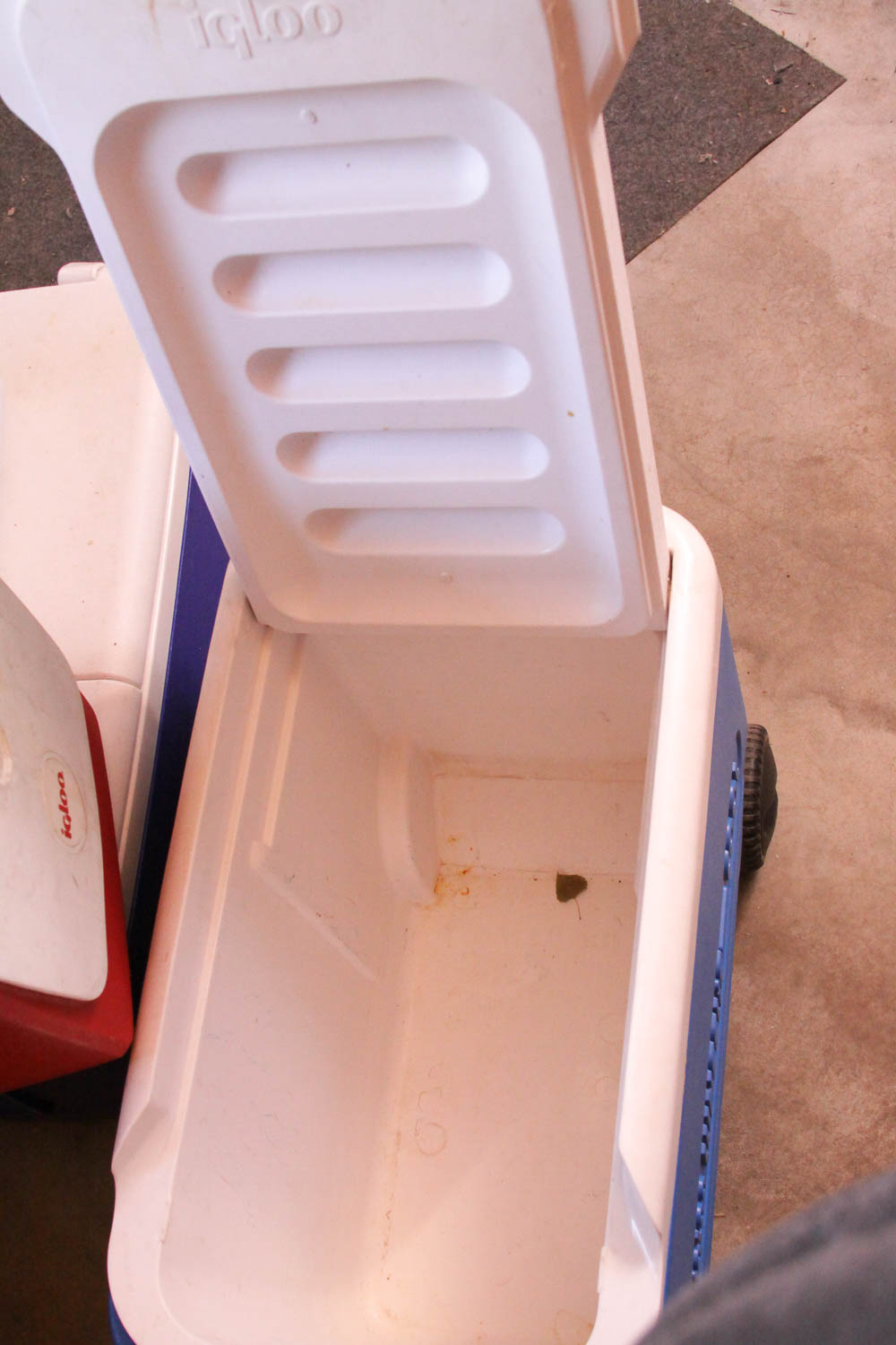 Variety of Picnic and Camping Coolers