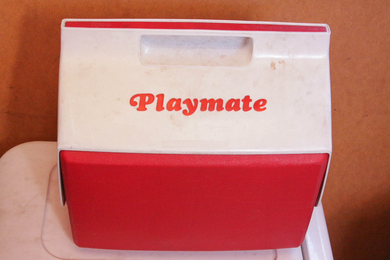 Variety of Picnic and Camping Coolers