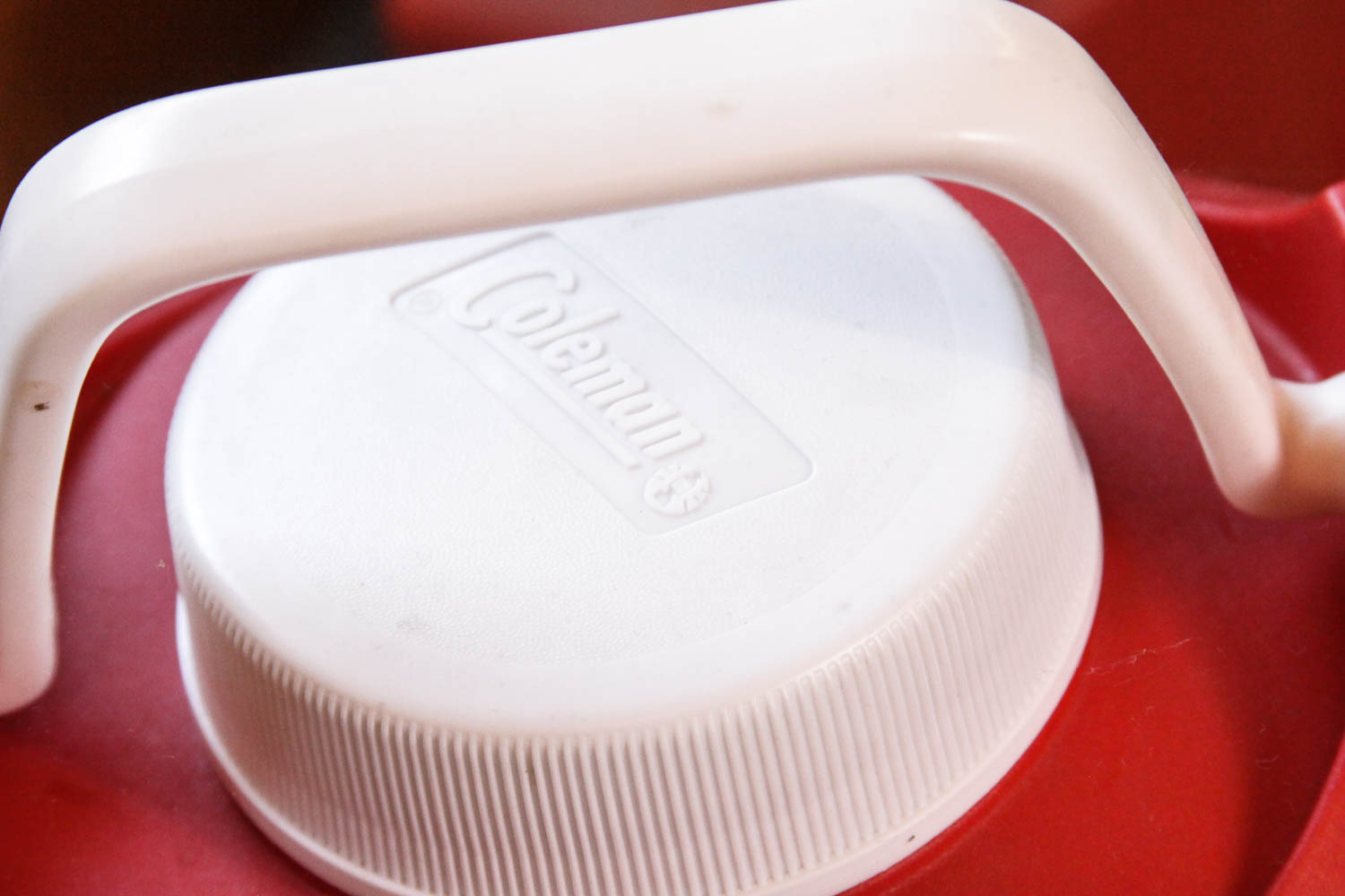 Variety of Picnic and Camping Coolers