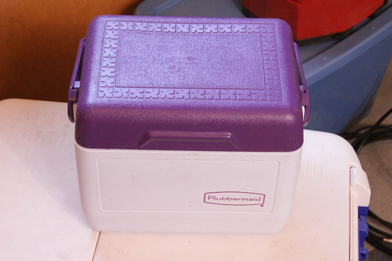 Variety of Picnic and Camping Coolers