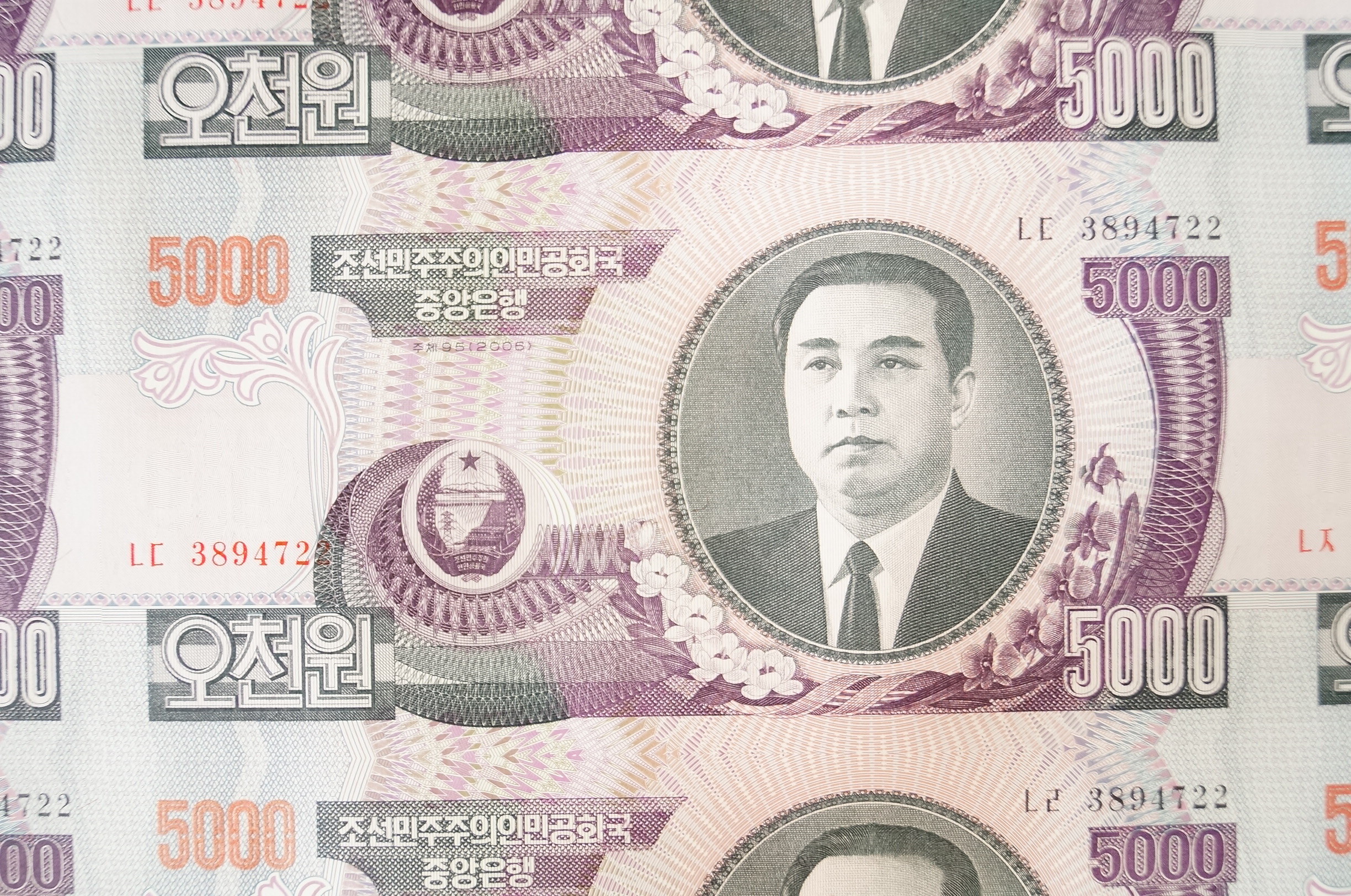 Uncut Sheet of North Korean 5000 Won Banknotes