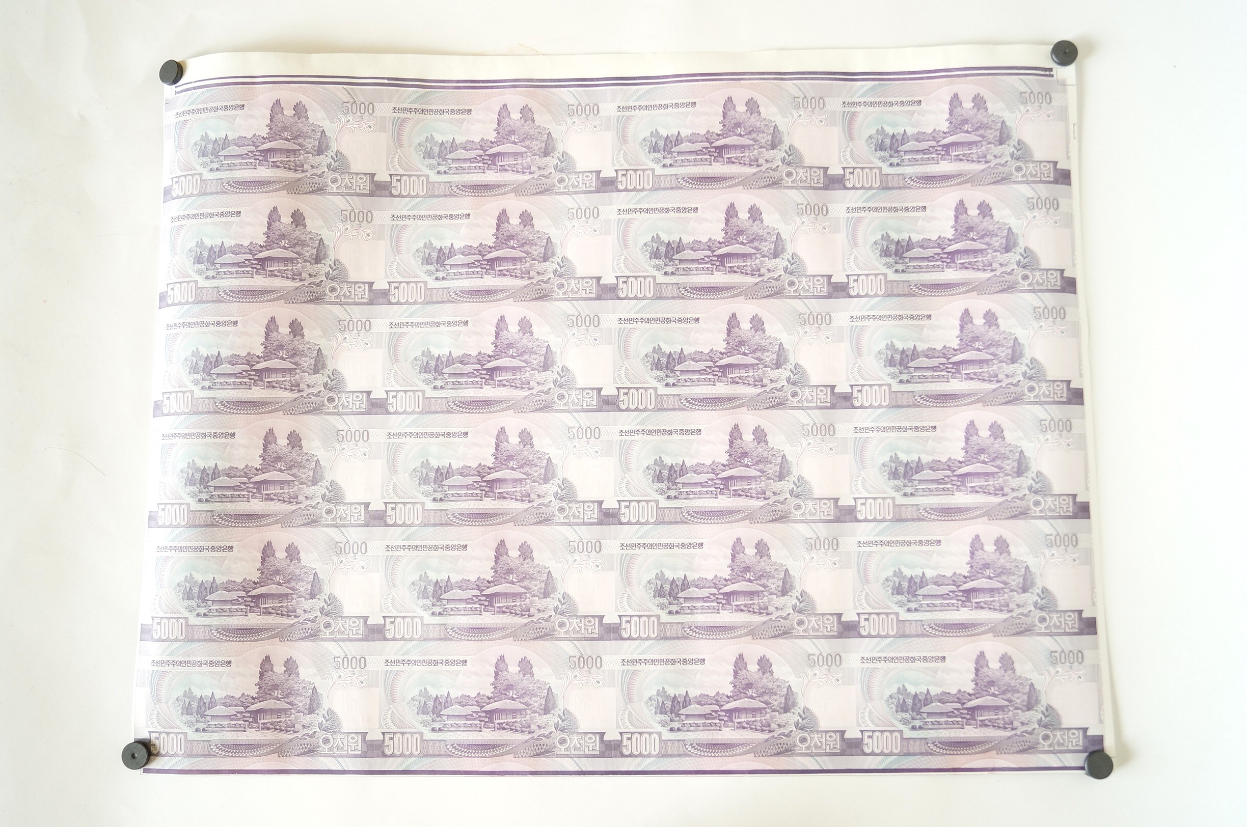 Uncut Sheet of North Korean 5000 Won Banknotes