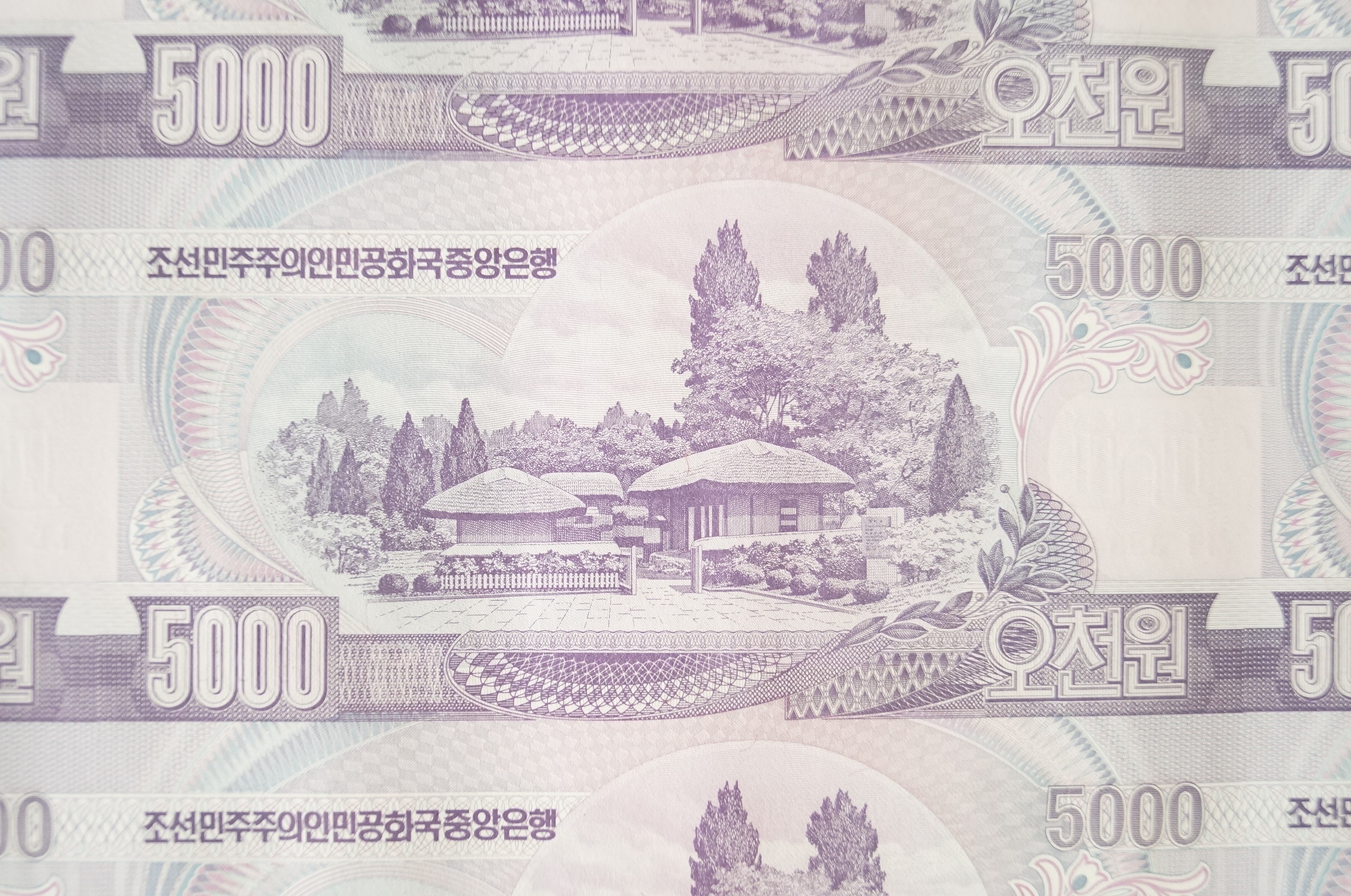 Uncut Sheet of North Korean 5000 Won Banknotes