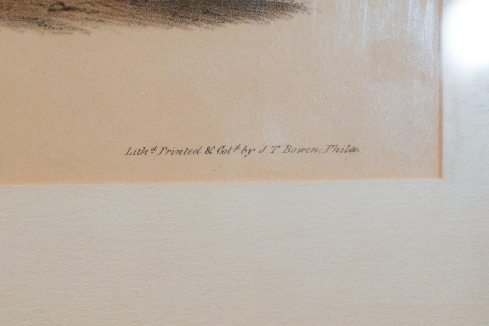 J.J. Audubon "Wilson's Phalarope" Bowen Edition Lithograph