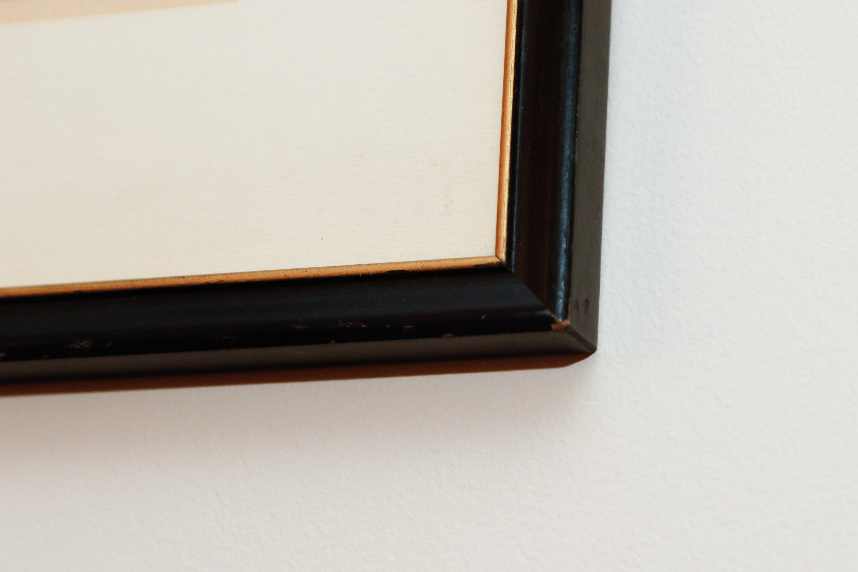 J.J. Audubon "Wilson's Phalarope" Bowen Edition Lithograph