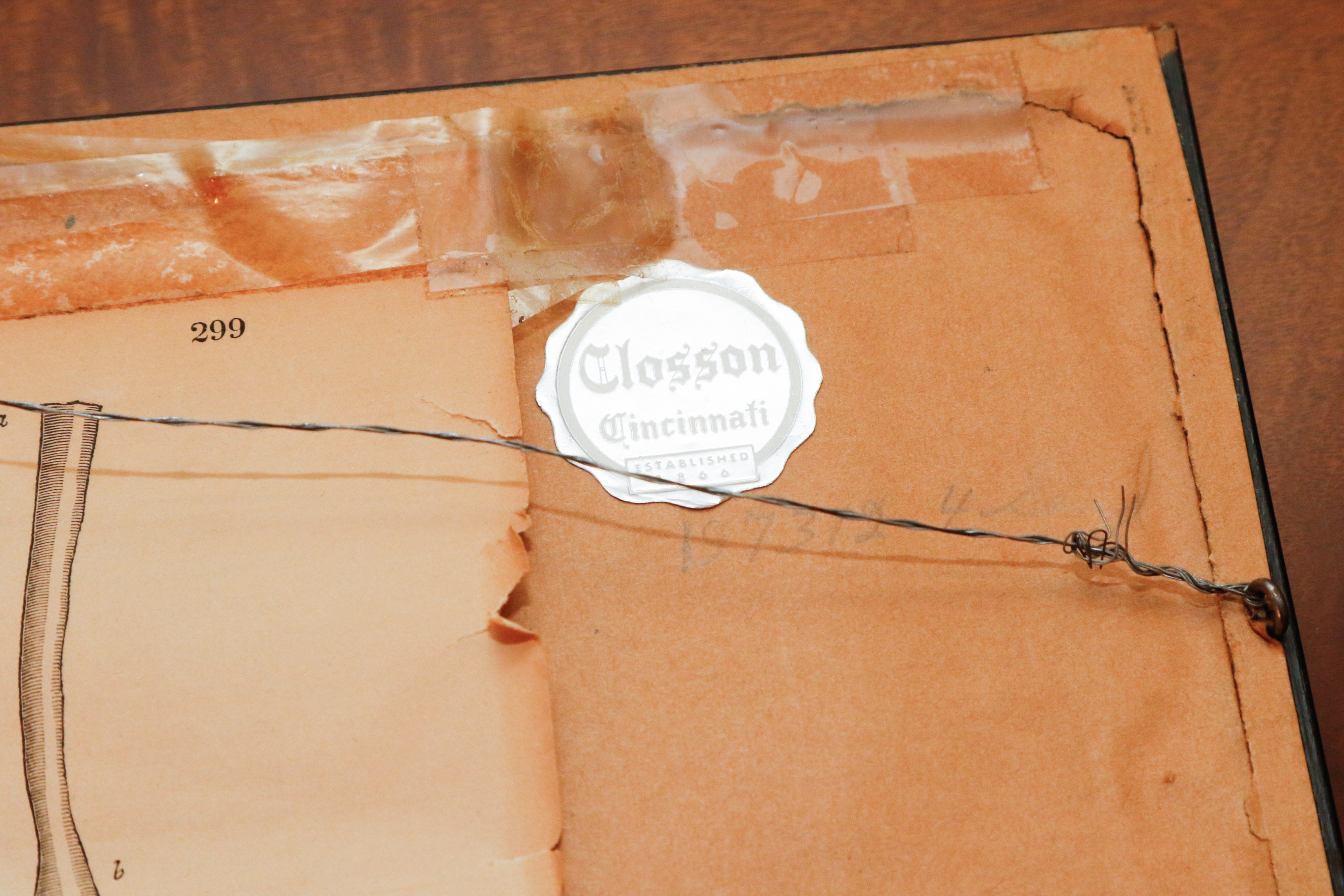 J.J. Audubon "Wilson's Phalarope" Bowen Edition Lithograph