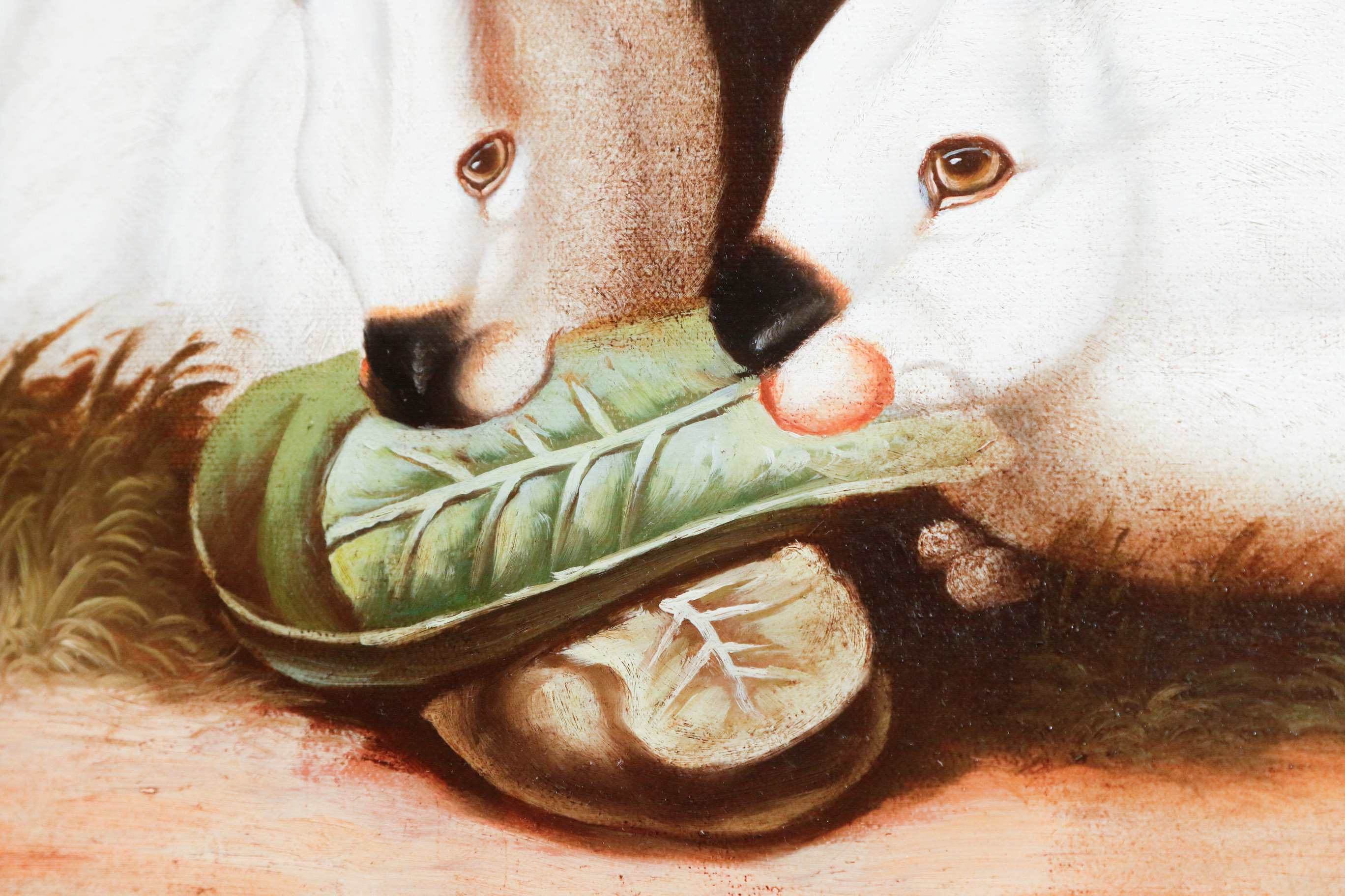 P. Rolence Folk Art Print on Canvas of Himalayan Rabbits Eating Cabbage