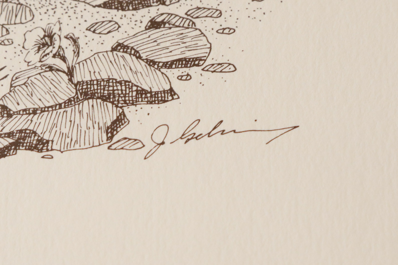 Whimsical Dragon Drawing