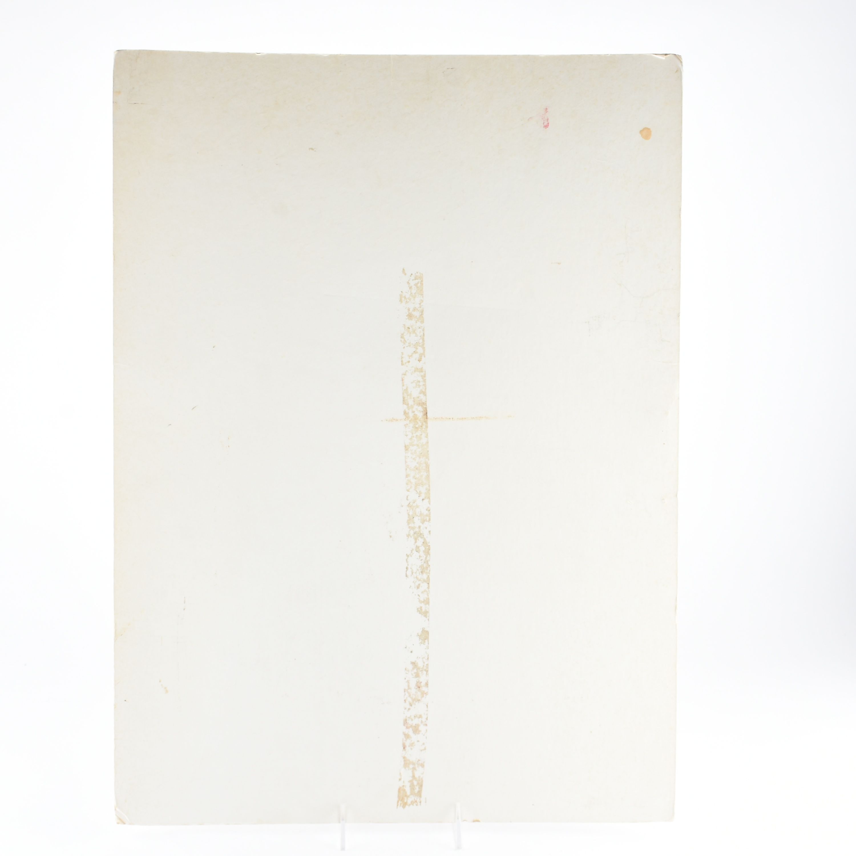 Vintage Tanya Tucker Toronto Show Poster on Board