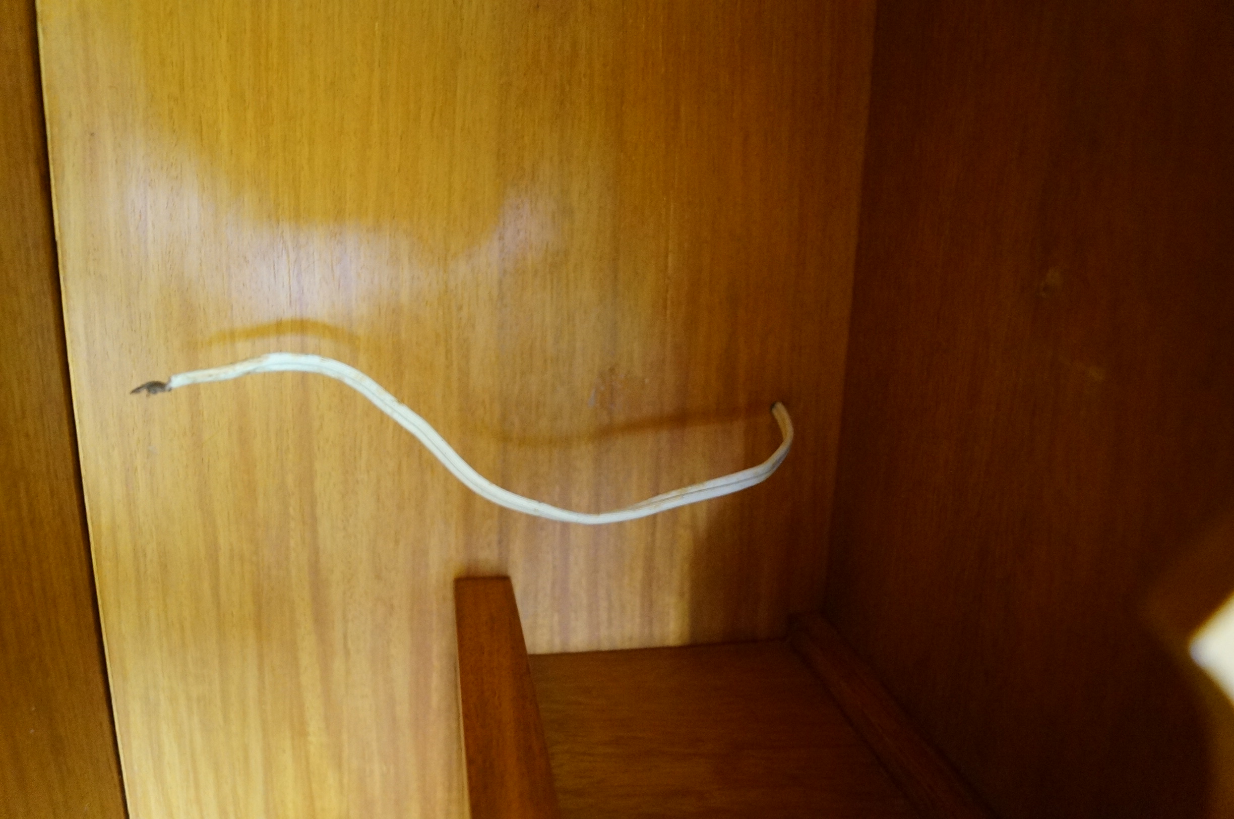 Roll Top Desk in Philippine Narra Wood with Hand Carved Details