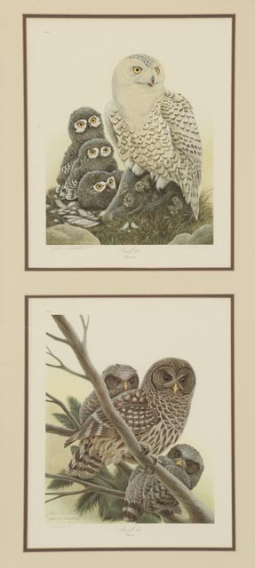 John A. Ruthven Signed Limited Edition Artist Proof Offset Lithographs "Snowy Owls" and "Barred Owls"
