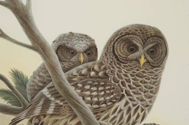 John A. Ruthven Signed Limited Edition Artist Proof Offset Lithographs "Snowy Owls" and "Barred Owls"