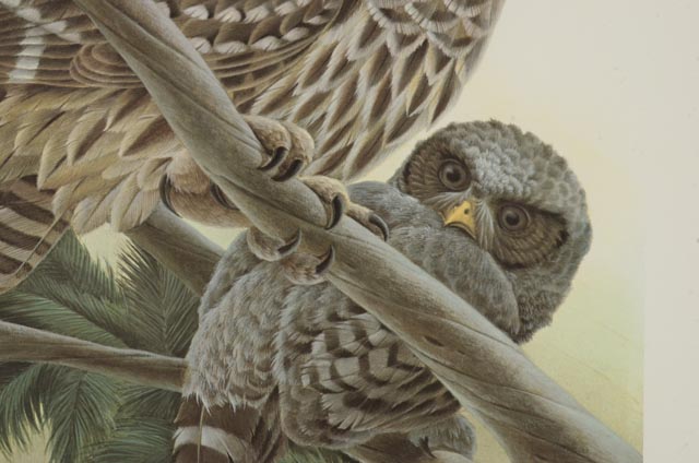 John A. Ruthven Signed Limited Edition Artist Proof Offset Lithographs "Snowy Owls" and "Barred Owls"