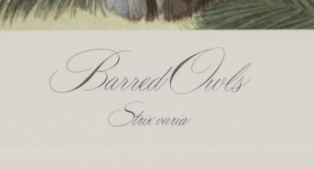 John A. Ruthven Signed Limited Edition Artist Proof Offset Lithographs "Snowy Owls" and "Barred Owls"