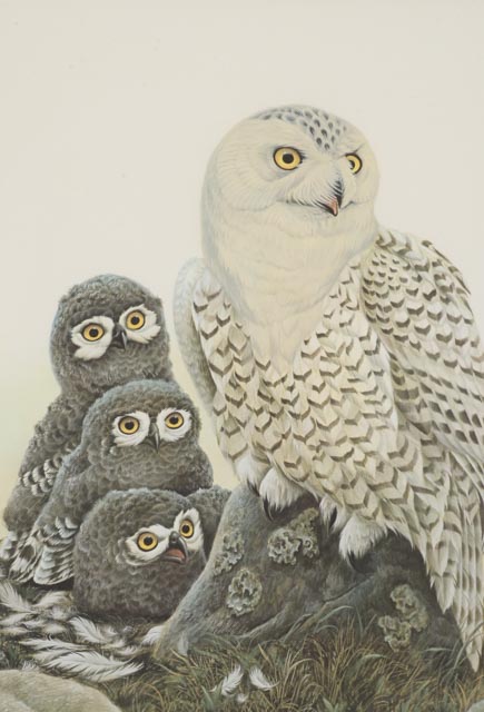 John A. Ruthven Signed Limited Edition Artist Proof Offset Lithographs "Snowy Owls" and "Barred Owls"