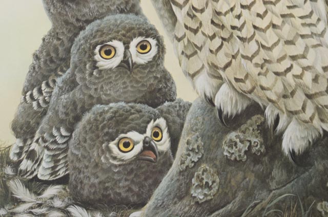 John A. Ruthven Signed Limited Edition Artist Proof Offset Lithographs "Snowy Owls" and "Barred Owls"