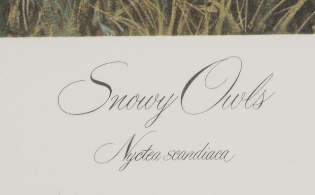 John A. Ruthven Signed Limited Edition Artist Proof Offset Lithographs "Snowy Owls" and "Barred Owls"