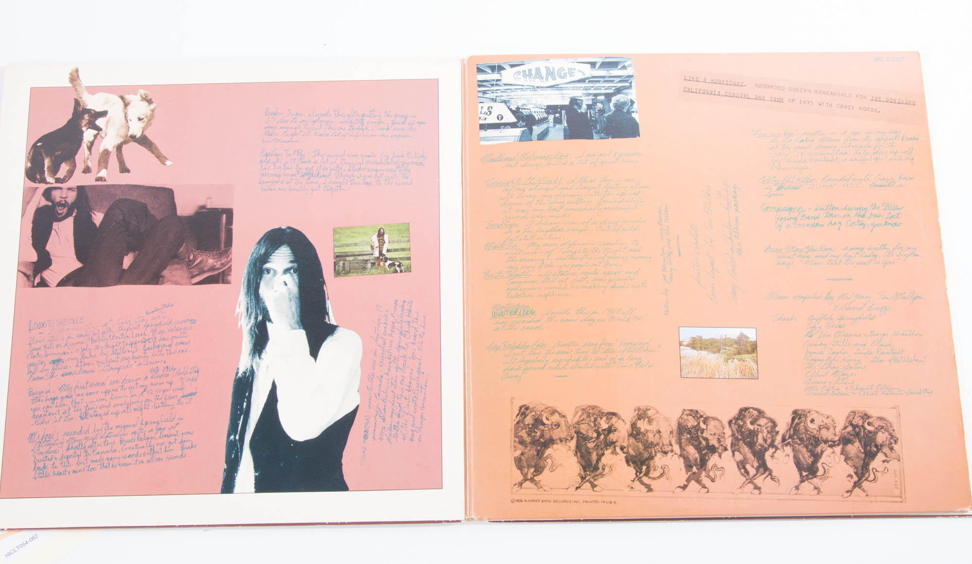 Neil Young "Decade" Album