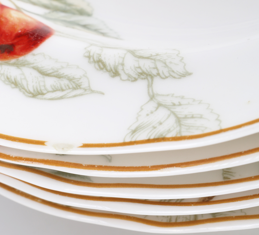 Charter Club "Summer Grove" Dishes