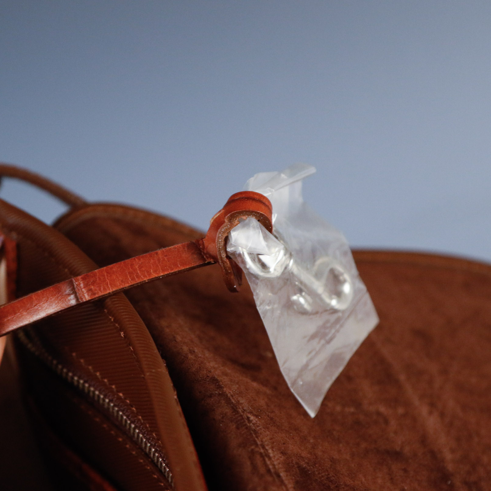 Dooney & Bourke Leather Crossbody Bag