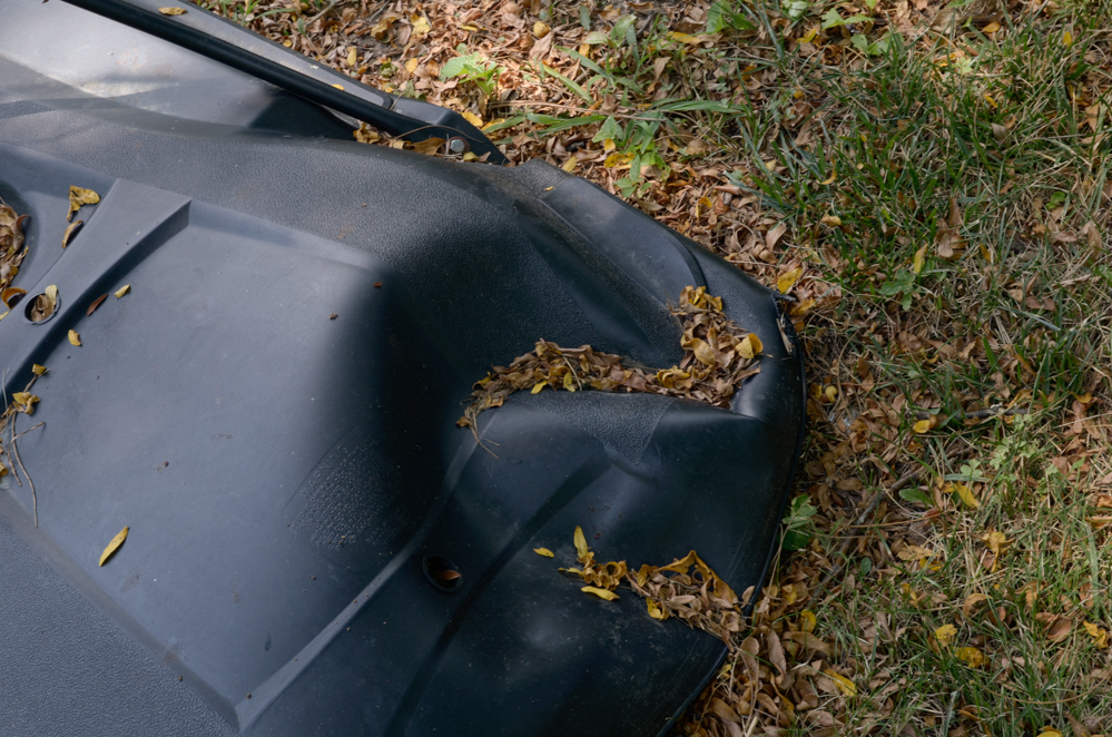 Free Standing Lifetime Basketball Hoop