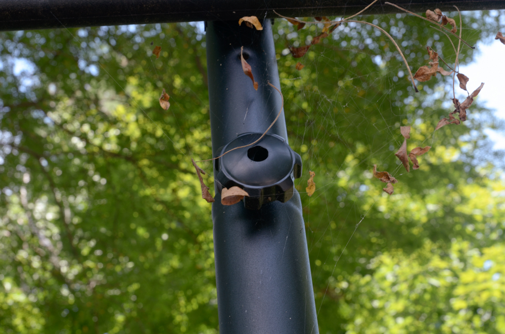 Free Standing Lifetime Basketball Hoop